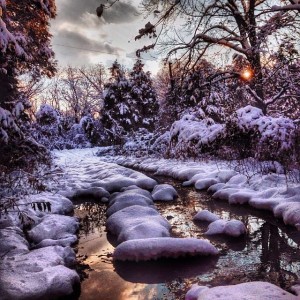 Snow day from Instagram