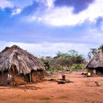 Mozambique Hut